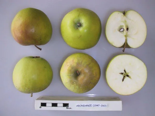 Abondance, photo 1