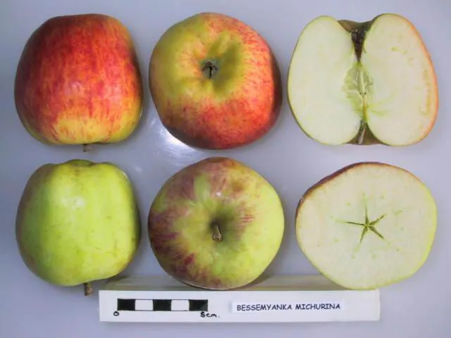 Bessemyanka Michurina, photo 1