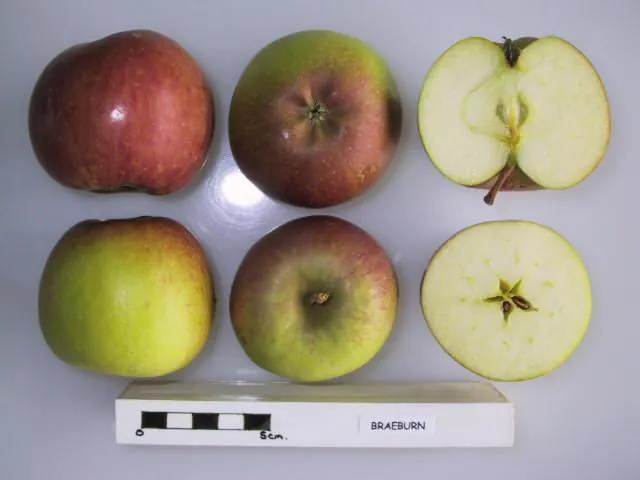Braeburn fruit