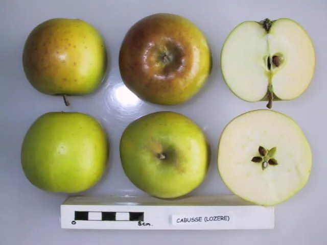 Cabusse, photo 1