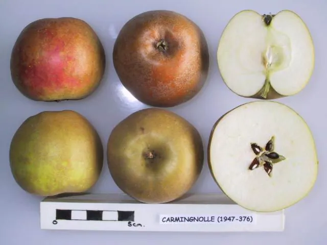 Carmignolle, photo 1