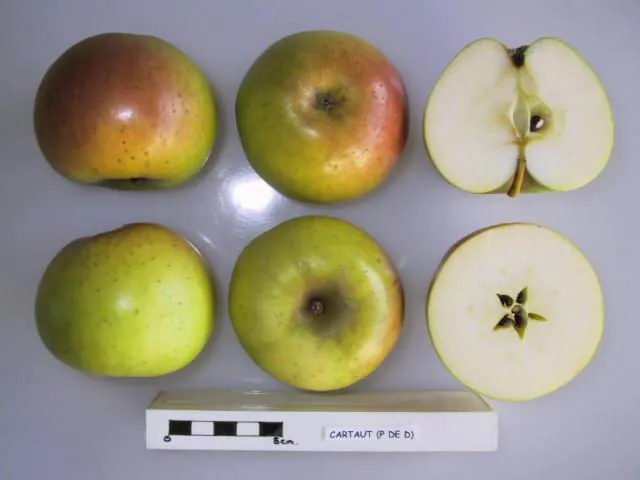 Cartaut, photo 1