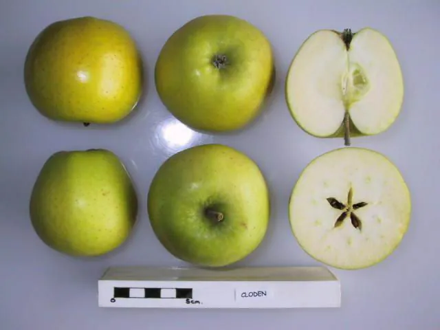 Cloden, photo 1