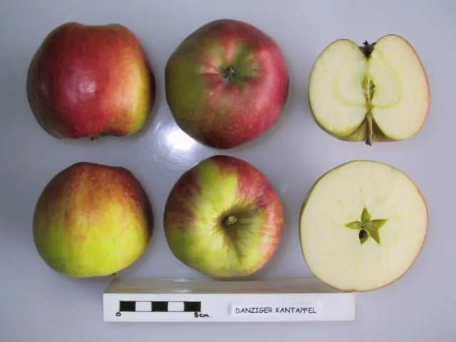 Danziger Kantapfel fruit