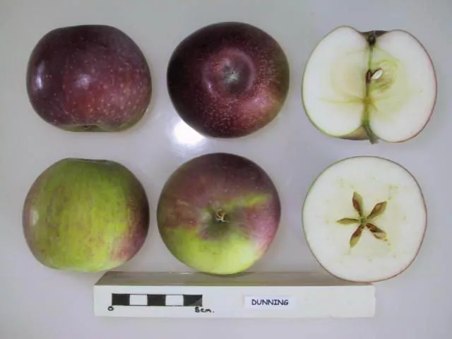 Dunning, photo 1