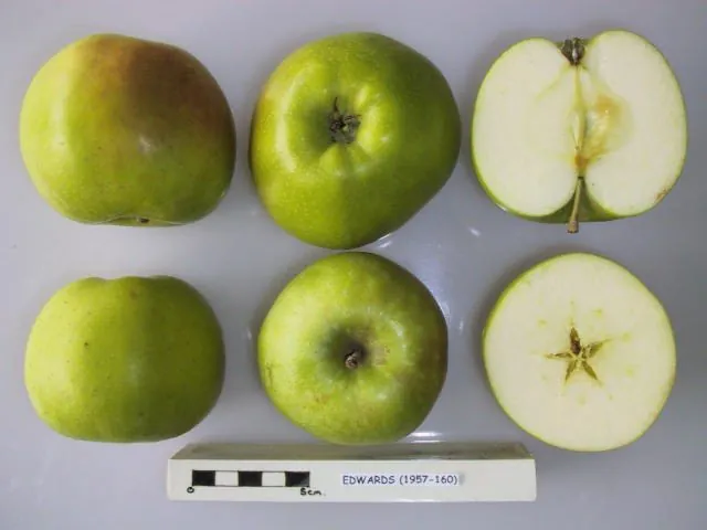 Edwards, photo 1