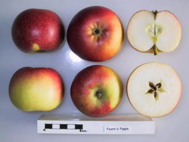 Fearn's Pippin fruit