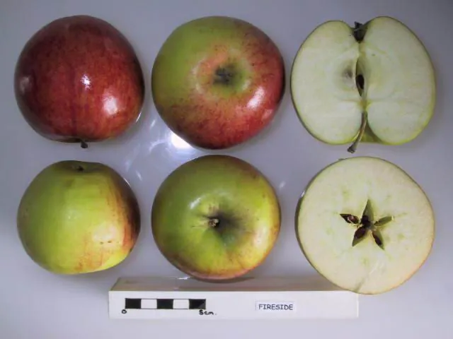 Fireside fruit