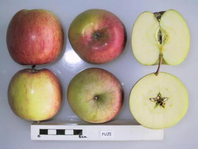 Fuji fruit