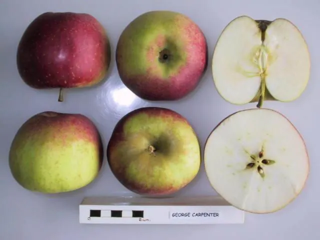 George Carpenter fruit