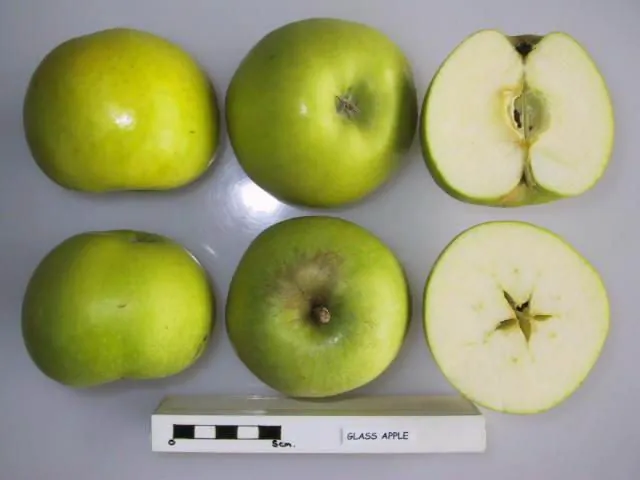 Glass Apple, photo 1