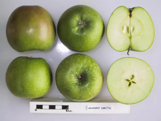 Granny Smith fruit