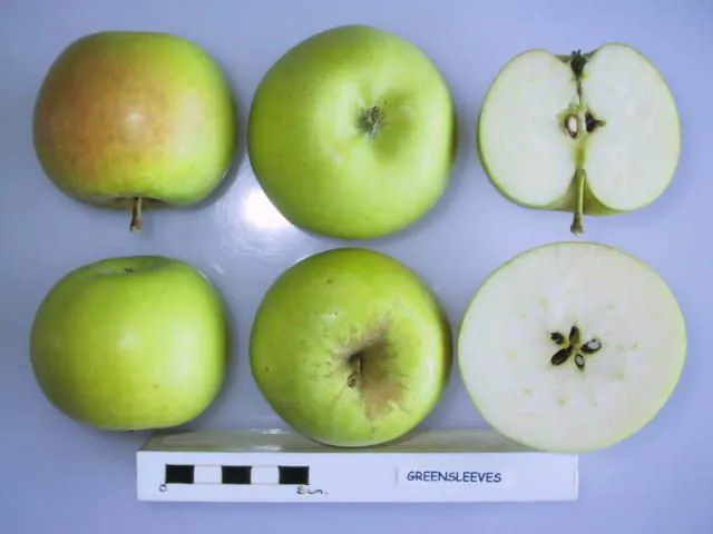 Greensleeves, photo 1