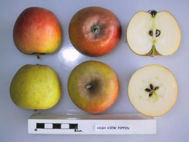 High View Pippin fruit