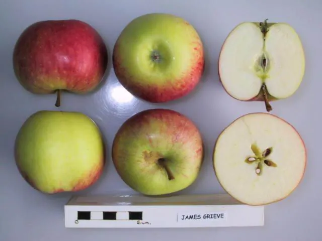 James Grieve, photo 1