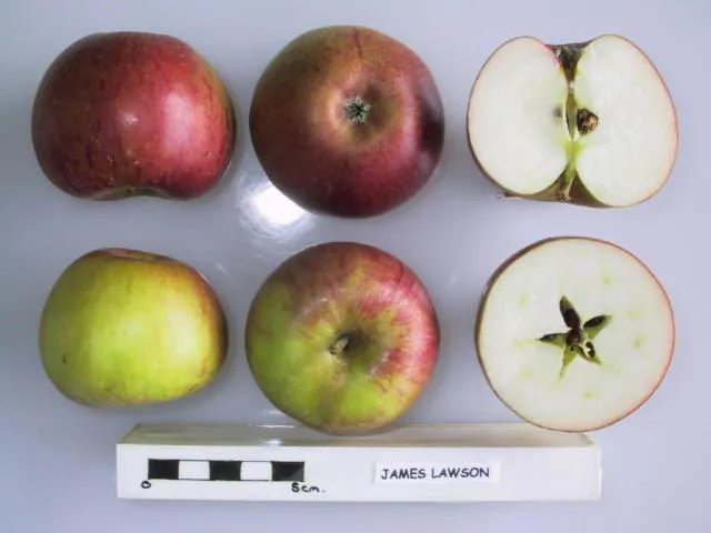 James Lawson, photo 1