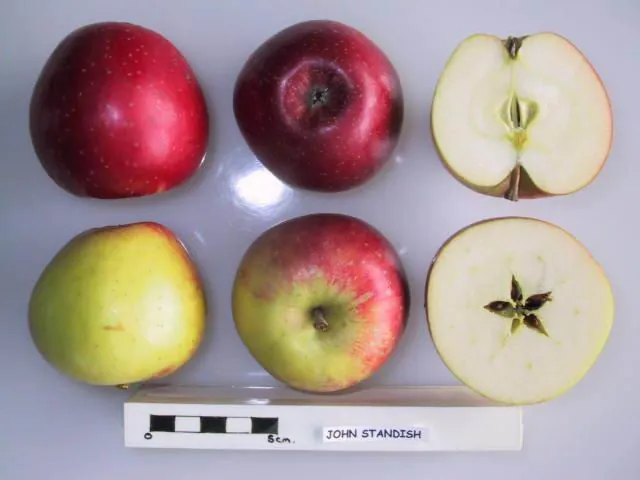 John Standish fruit