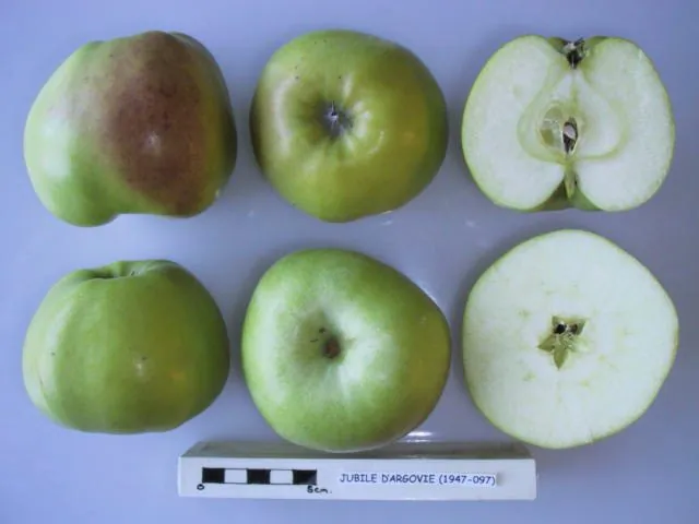 Jubile d'Argovie, photo 1