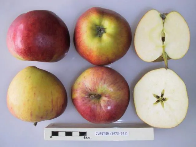 Jupiter, photo 1