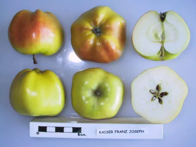 Kaiser Franz Joseph, photo 1