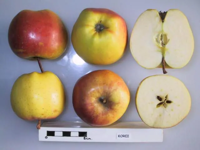 Korei, photo 1