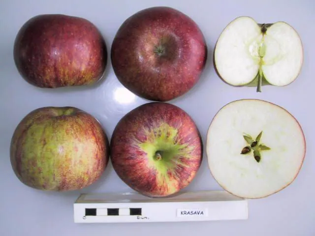 Krasava, photo 1