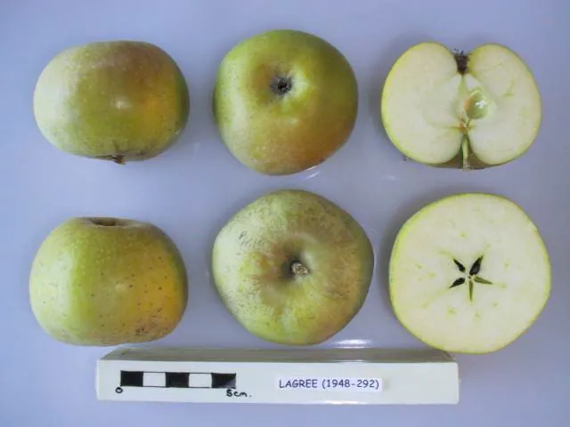 Lagree, photo 1