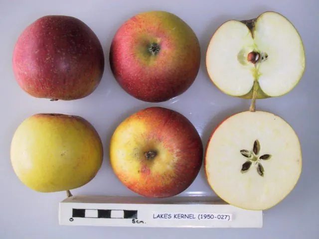 Lake's Kernel, photo 1