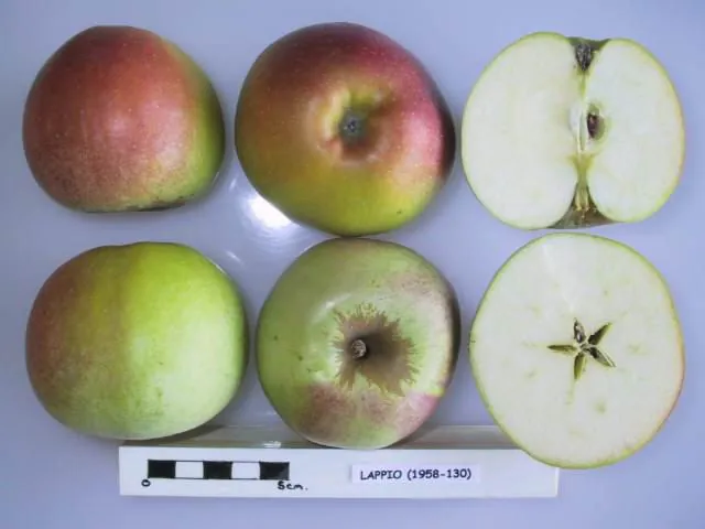 Lappio, photo 1