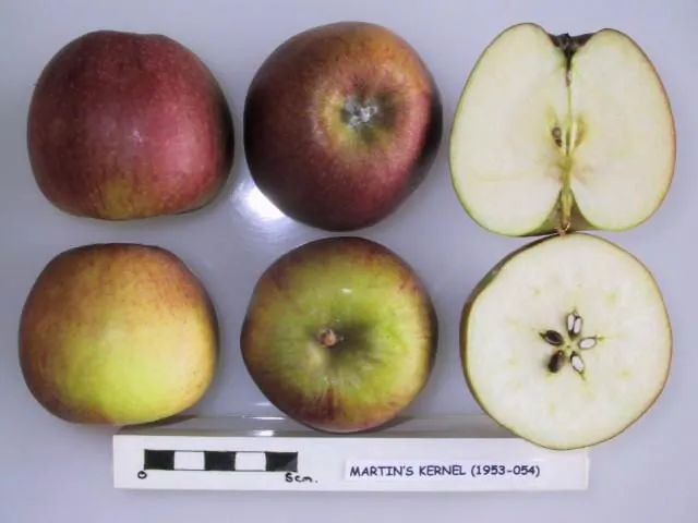 Martin's Kernel, photo 1