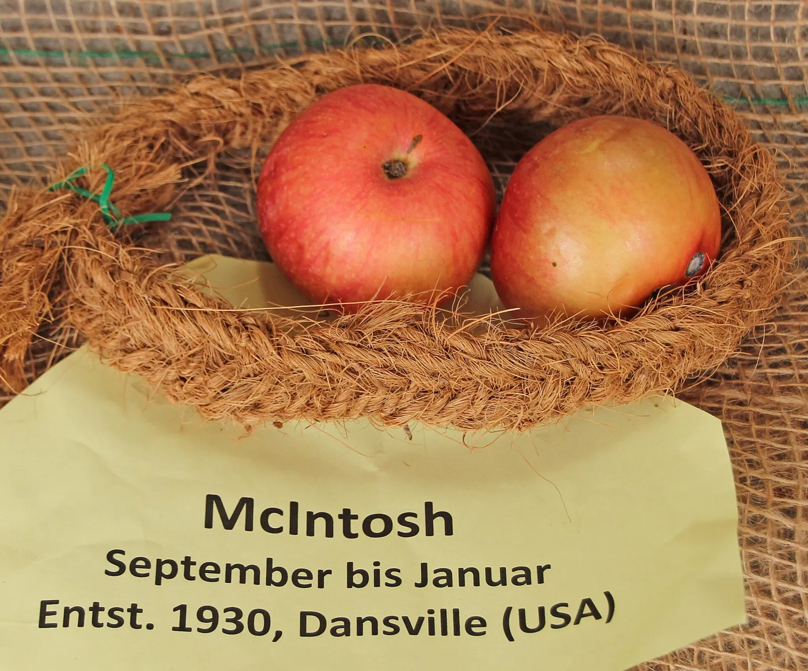 McIntosh fruit