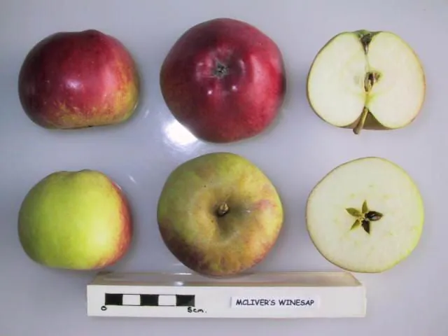 McLiver's Winesap, photo 1
