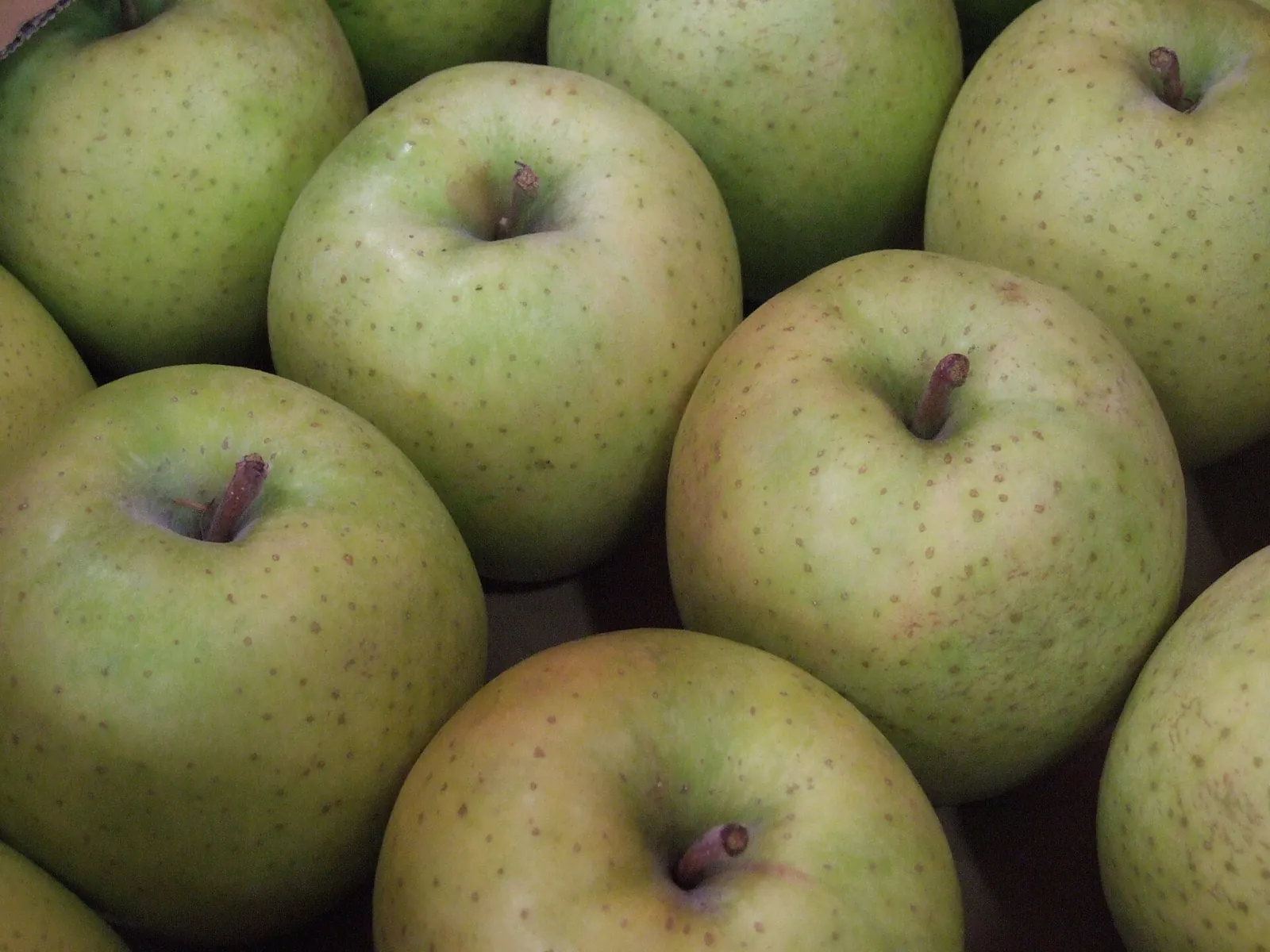 Orin fruit