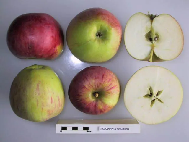 Peasgood's Nonsuch fruit