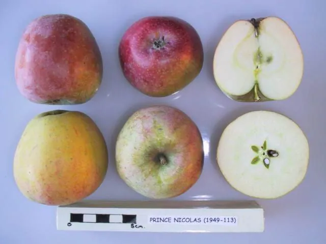 Prince Nicolas, photo 1
