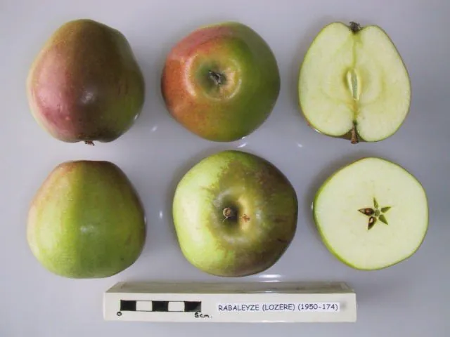 Rabaleyze, photo 1