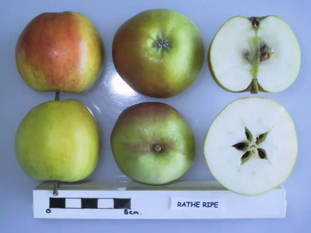 Rathe Ripe, photo 1