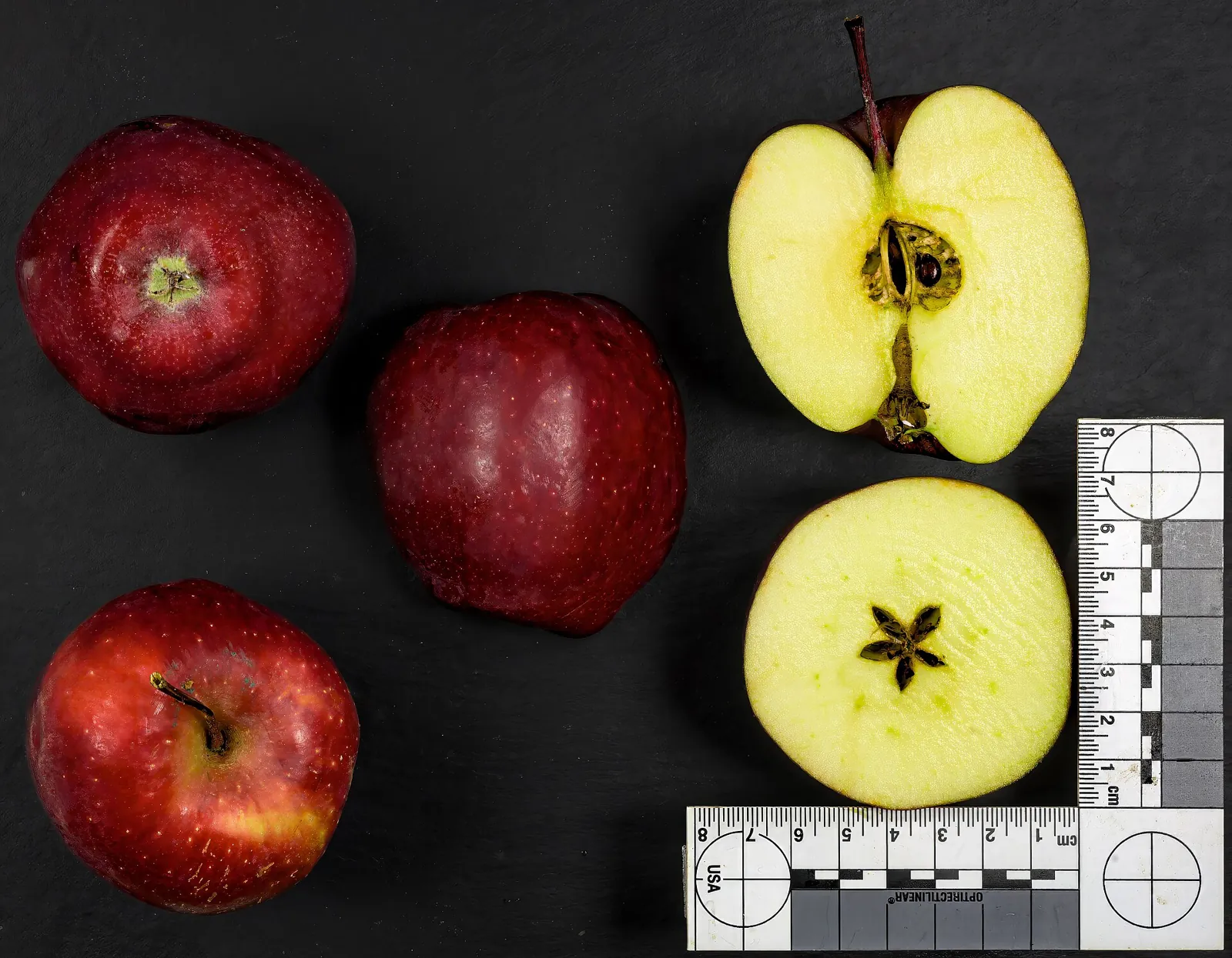 Red Delicious fruit