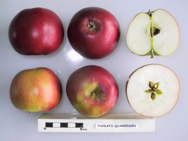 Thoday's Quarrenden, photo 1