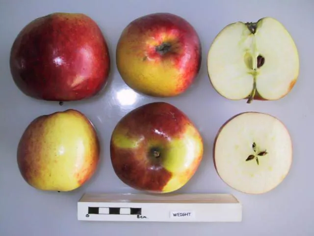 Weight, photo 1