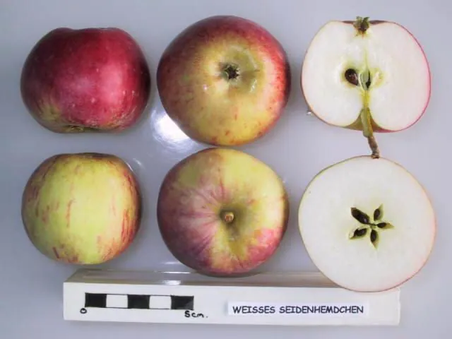 Weisses Seidenhemdchen, photo 1