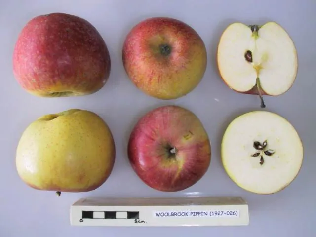 Woolbrook Pippin fruit