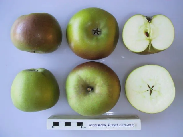 Woolbrook Russet, photo 1