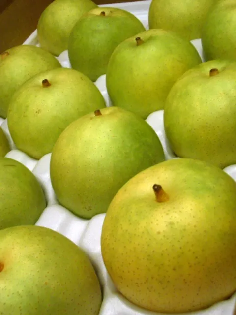 Nijisseiki fruit
