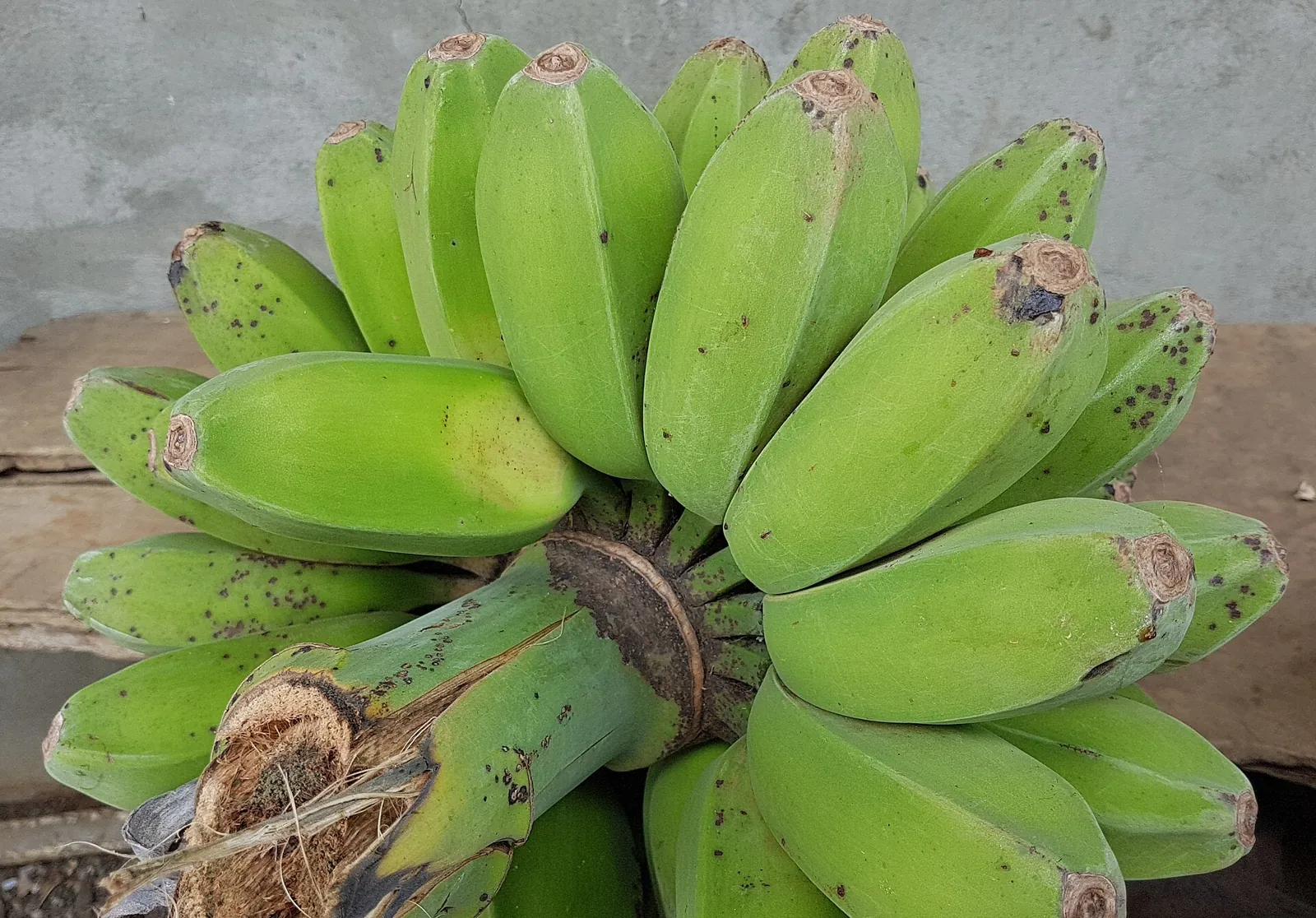 Cardaba fruit
