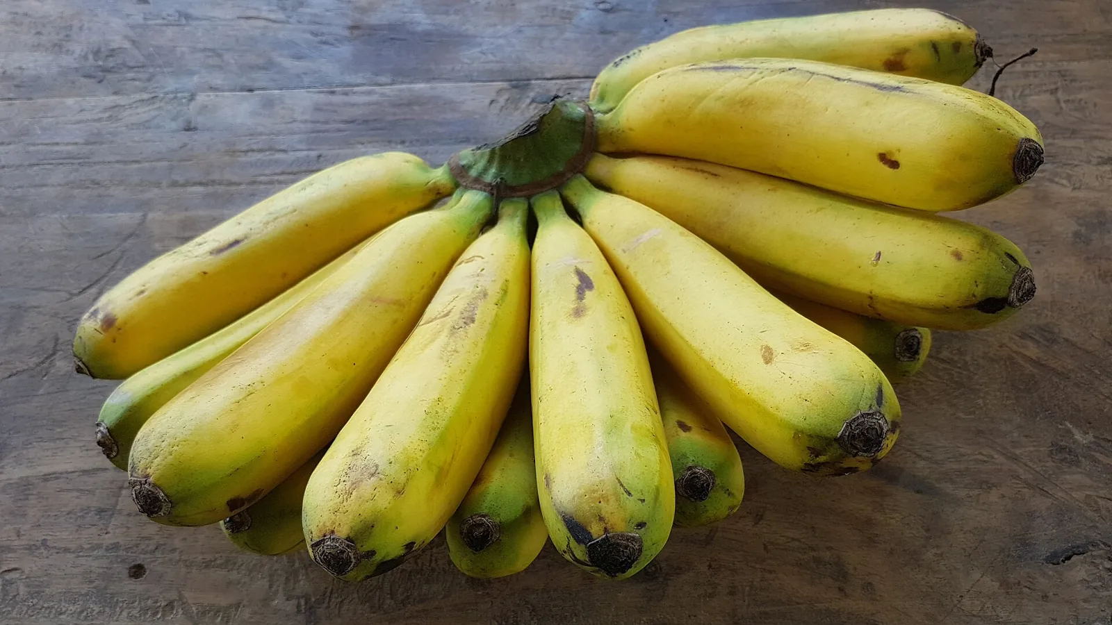Lakatan fruit
