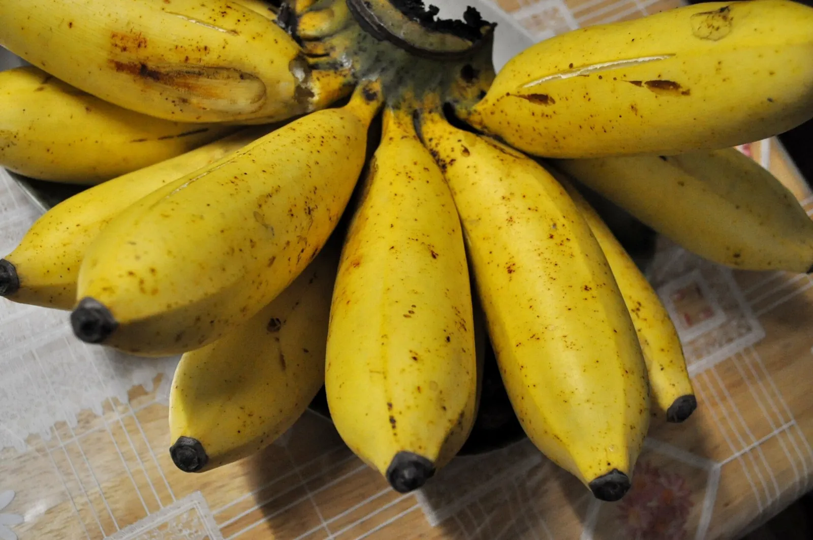 Latundan fruit