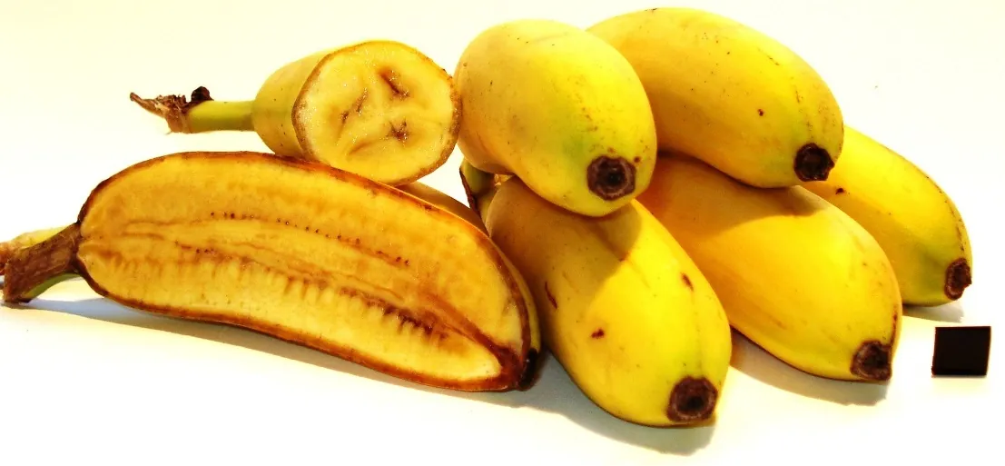 Pisang Mas fruit