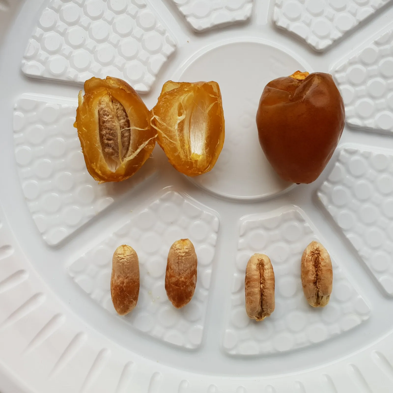 Barhi fruit
