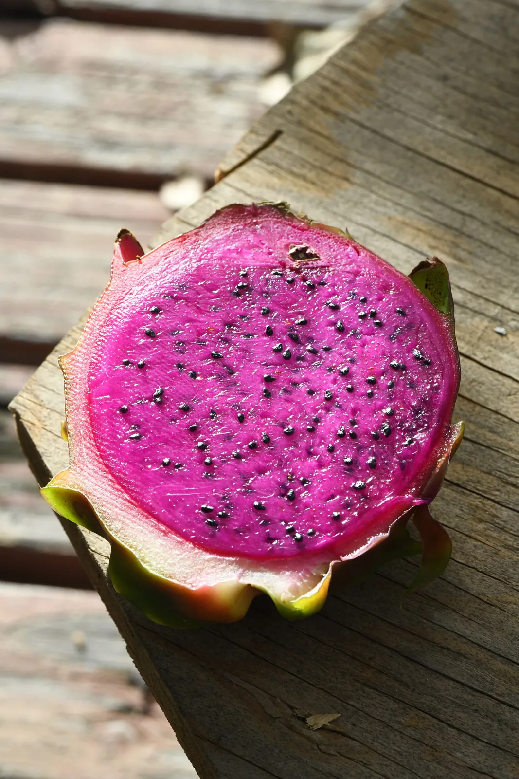 American Beauty fruit